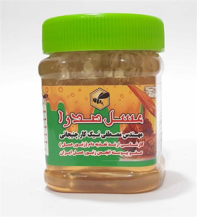 عسل جنگل موم دار گیلان صدرا 500 g